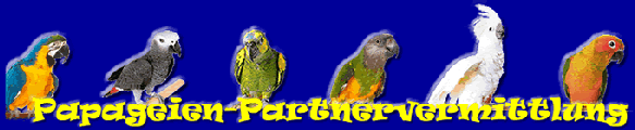 papageien-partnervermittlung schönefeld